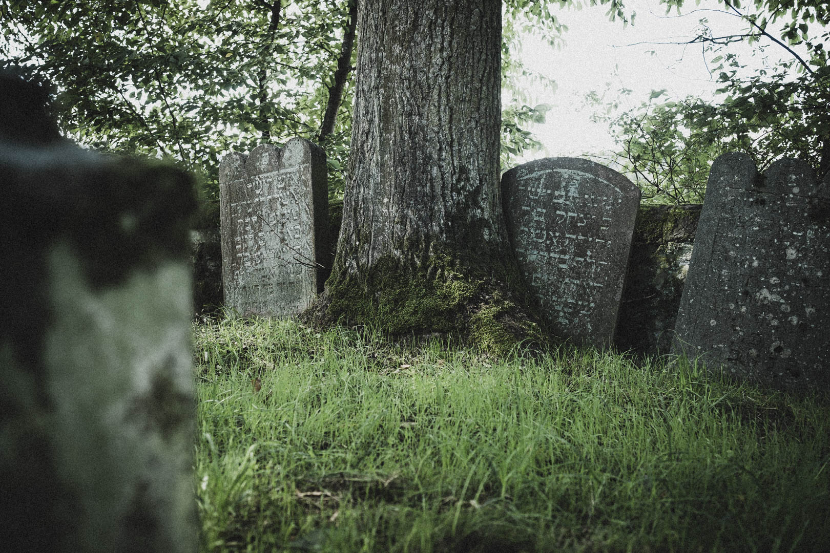 Wehrda, Jüdischer Friedhof